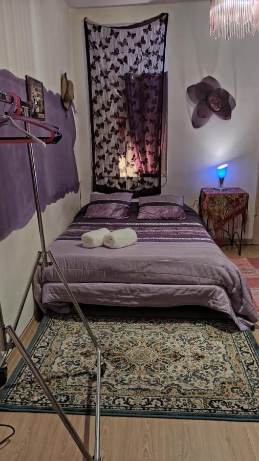 Al-pinheiro 62 Homestay